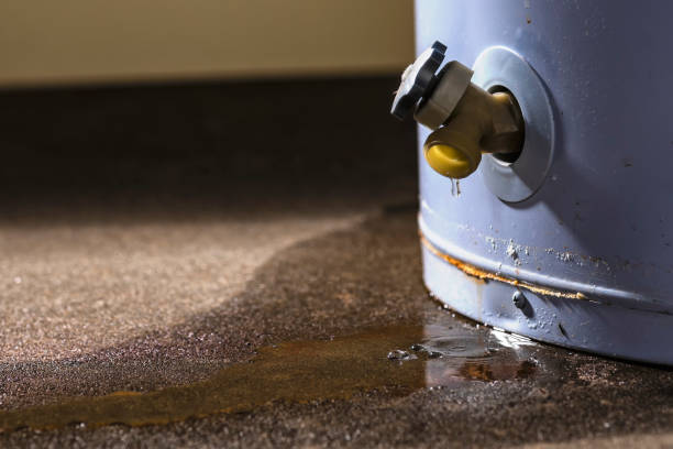 Best Commercial water damage restoration  in Statesboro, GA