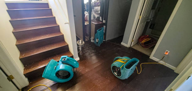 Carpet water damage restoration in Statesboro, GA