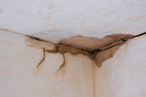 Best Flooded house restoration  in Statesboro, GA