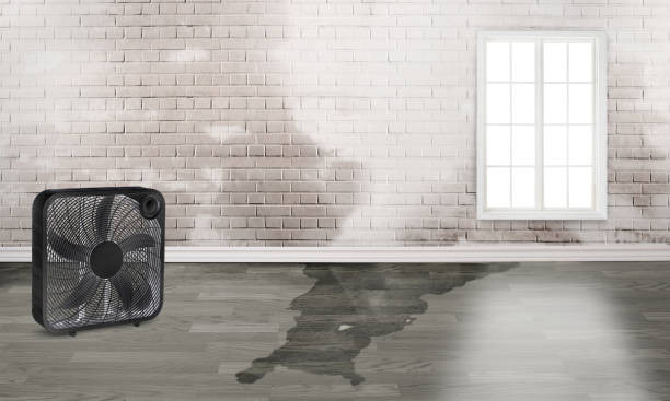 Best Emergency water damage restoration  in Statesboro, GA
