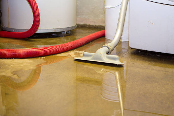 Best Mold removal after water damage  in Statesboro, GA
