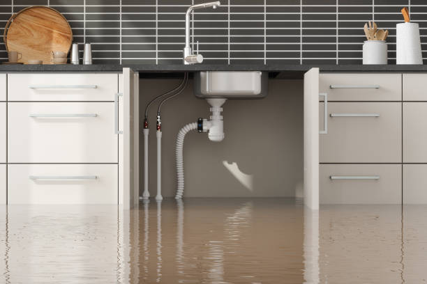 Best Water damage restoration near me  in Statesboro, GA