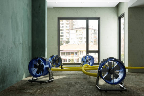 Best Water damage cleanup near me  in Statesboro, GA